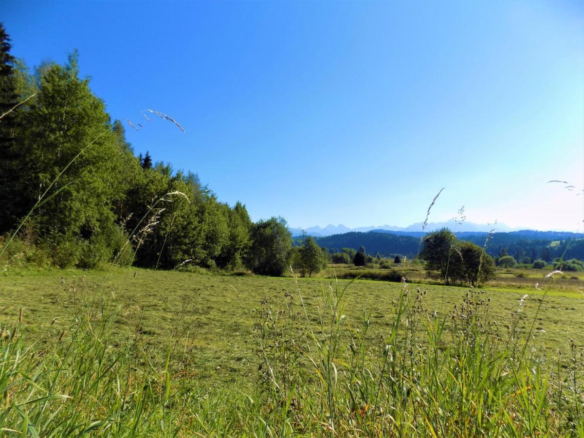 Pokoje U Teresy Czarna Góra Esterno foto